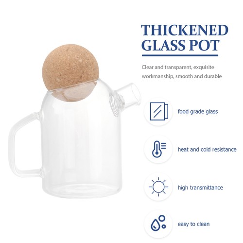 Reusable transparent glass tea - reusable,
